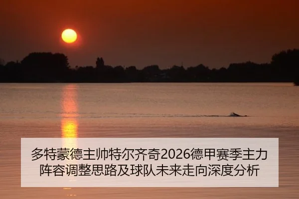duo-te-meng-de-zhu-shuai-te-er-qi-qi-de-jia-sai-ji-zhu-li-zhen-rong-tiao-zheng-si-lu-ji-qiu-dui-wei-lai-zou-xiang-shen-2-337.jpg